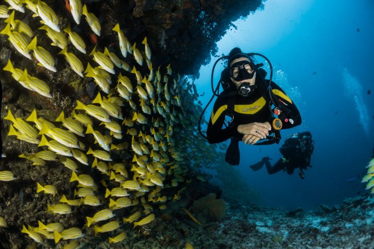 21 meilleurs conseils de plongée sous-marine pour les débutants